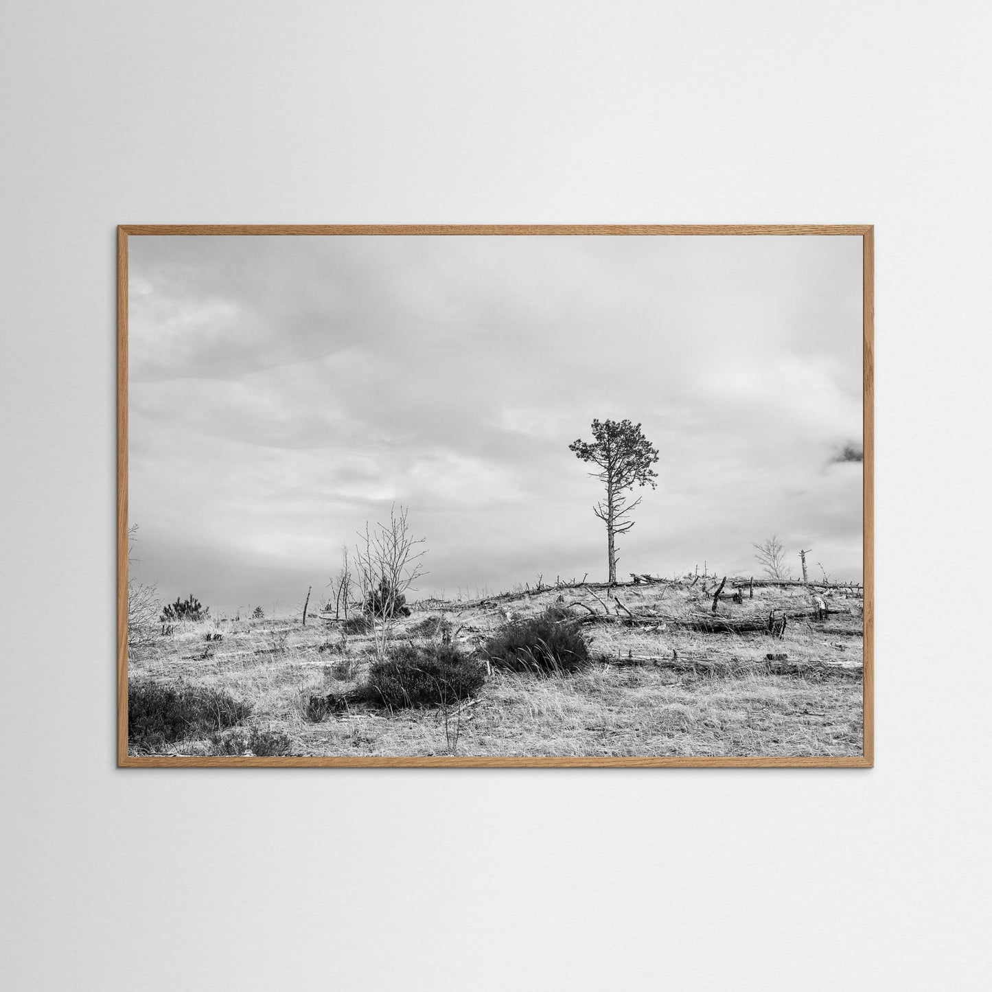 Windcatcher