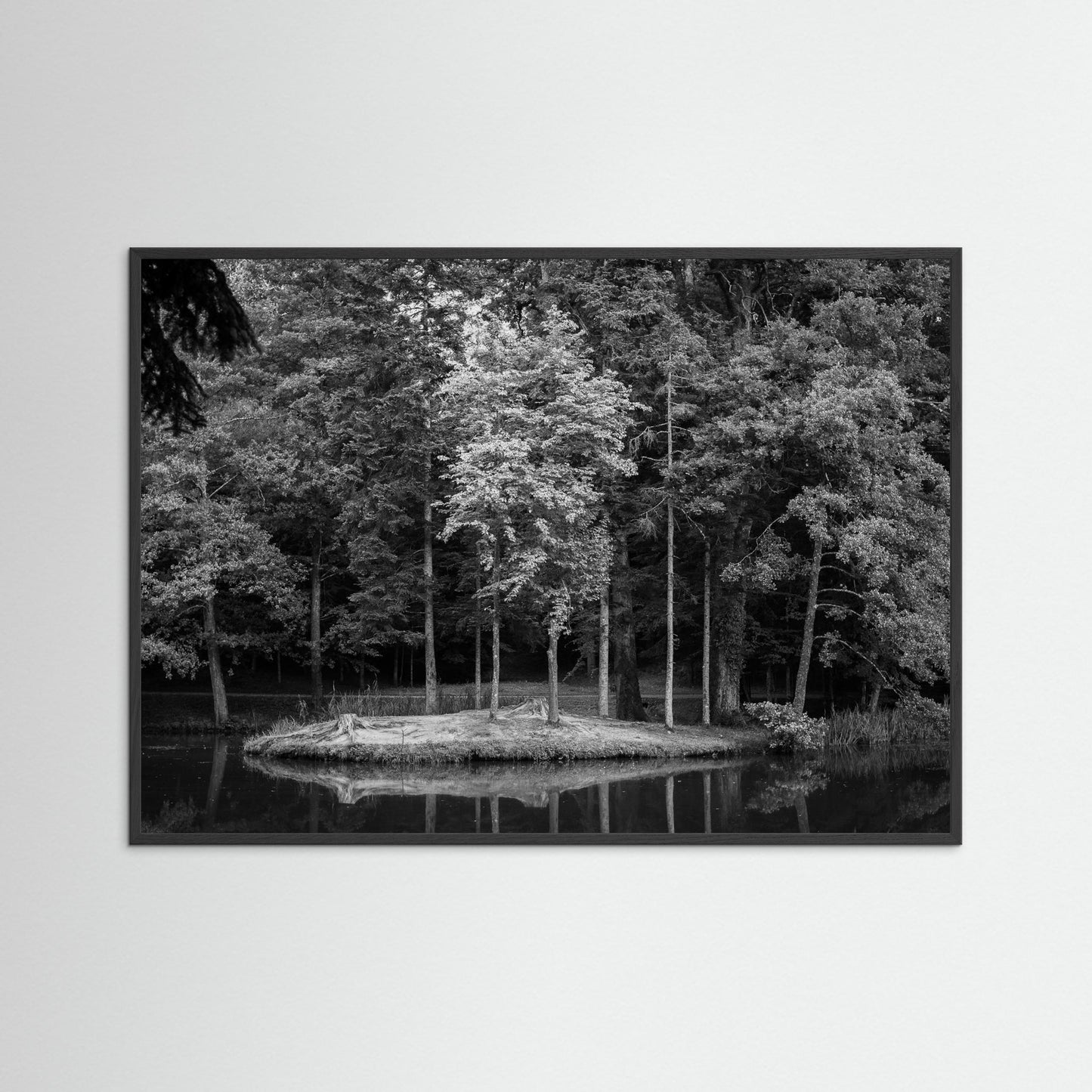 "Laketree"