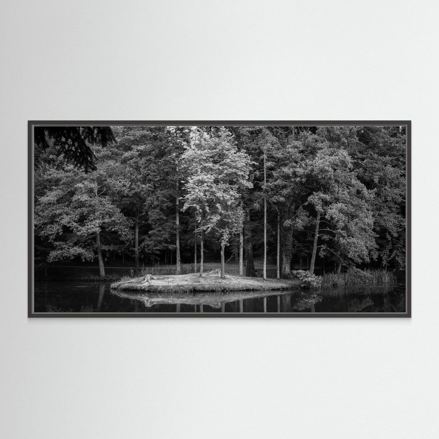 "Laketree"