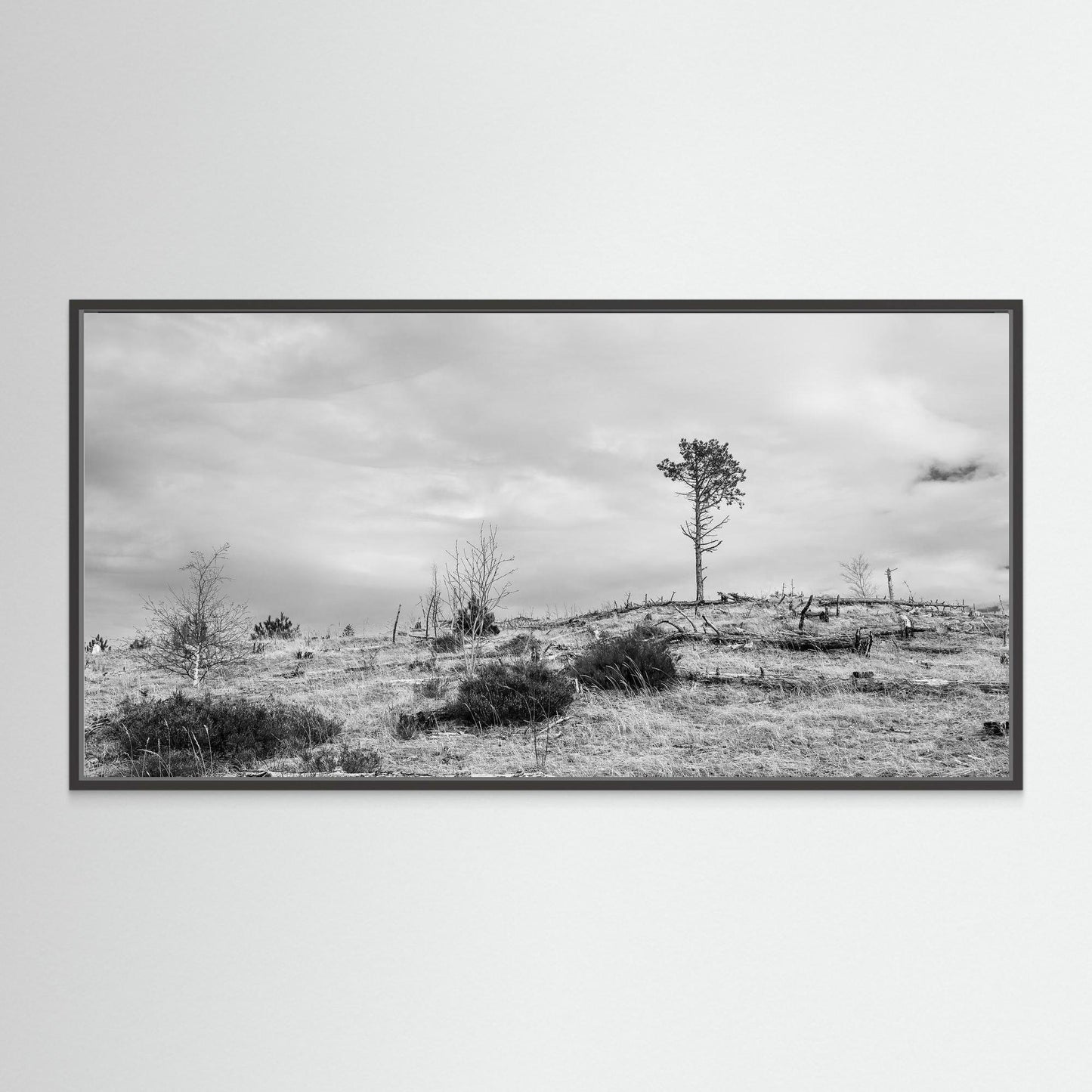 Windcatcher