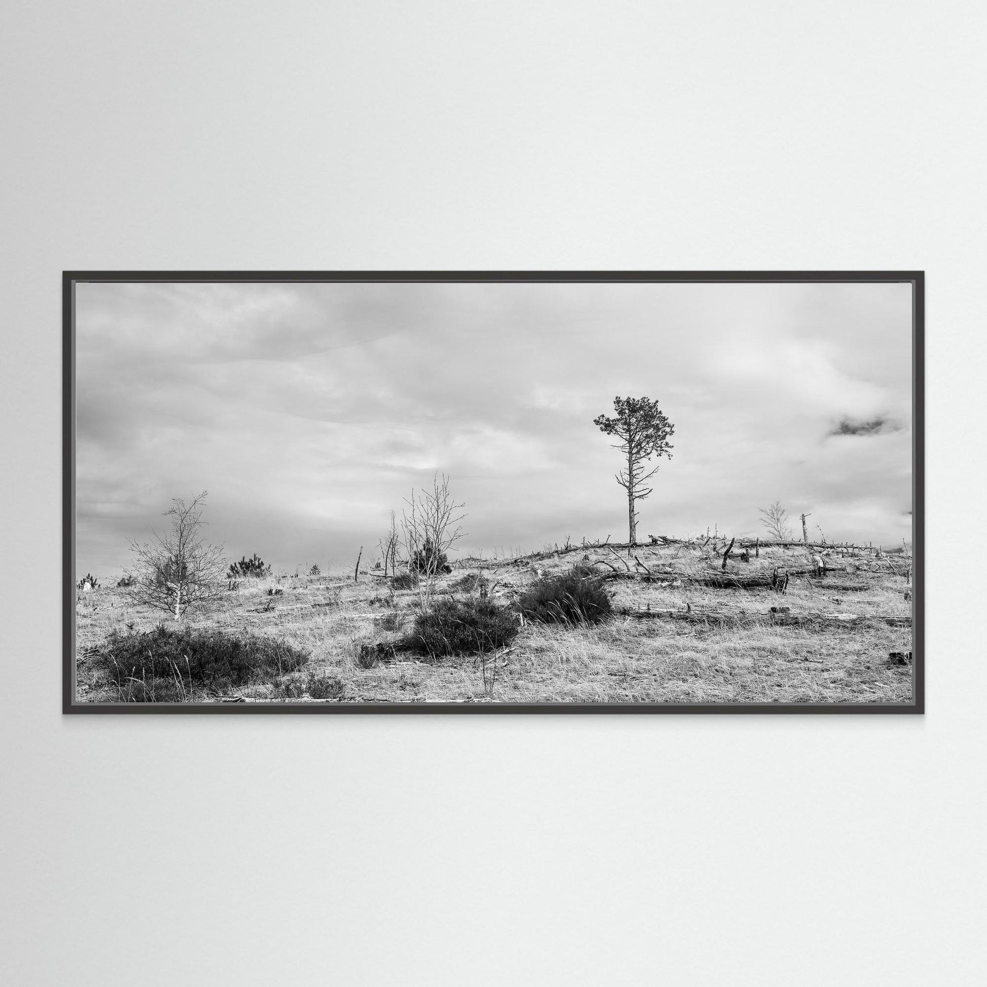 Windcatcher